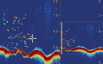 raymarine axiom RV 600W 50-200khz