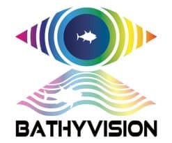 furuno TZ MAPS Zone wide Logo-BathyVision-black